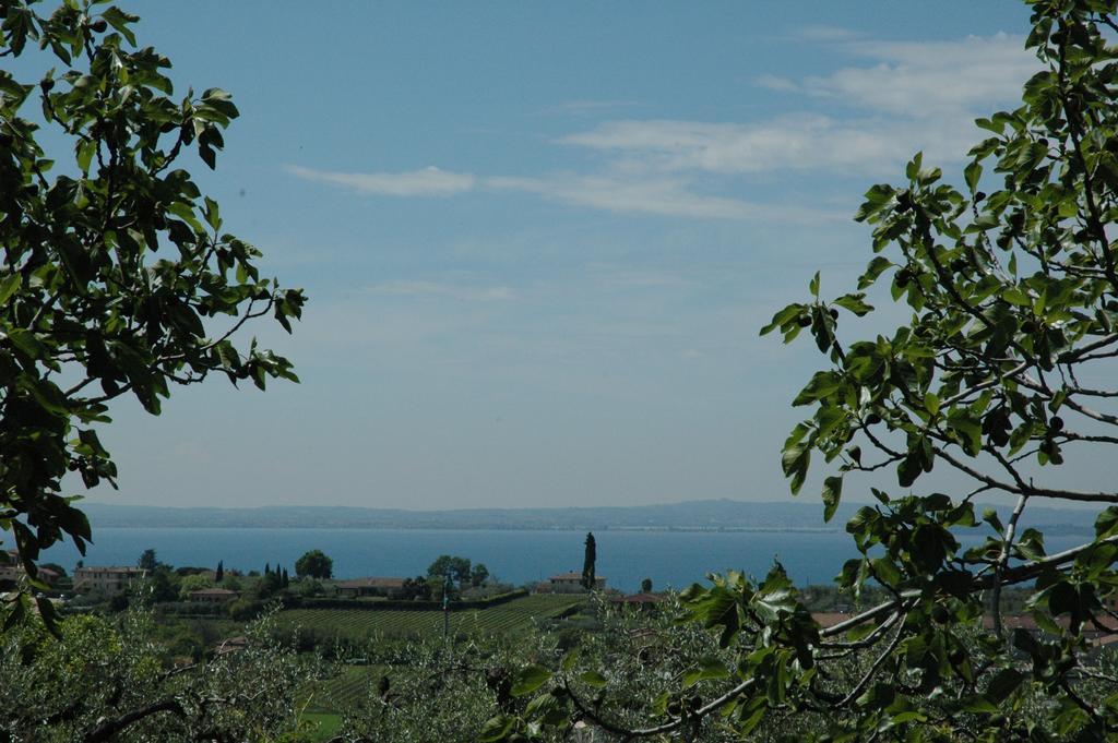 Agriturismo Tenuta La Pergola Bardolino Extérieur photo